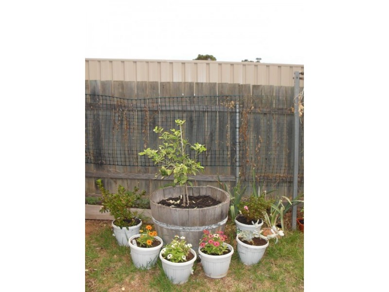 Unit 9, 2 Douglas Avenue, Reynella SA 5161