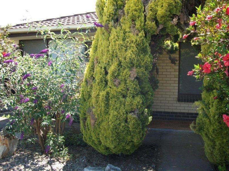 Unit 3, 42 Herzog Crescent, Christies Beach SA 5165