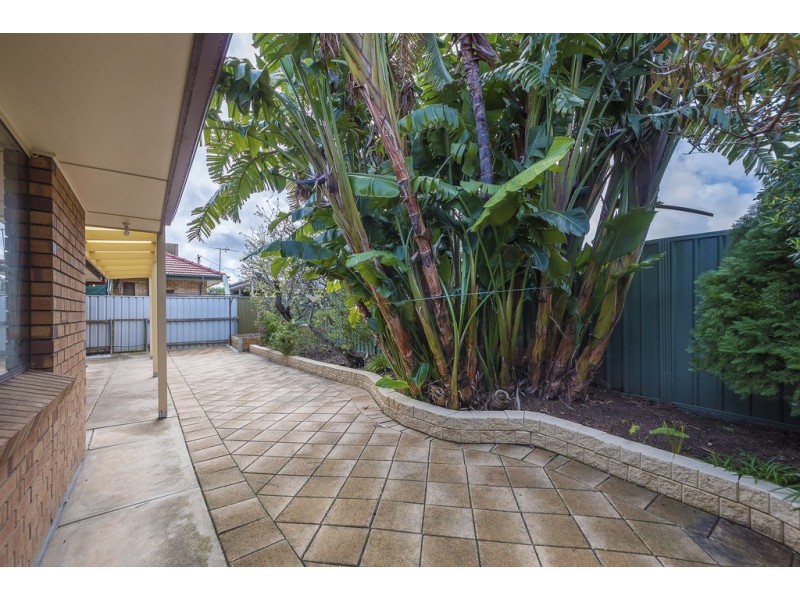 21 Gilpipi Avenue, Edwardstown SA 5039