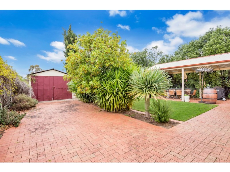 91 Ayers Avenue, Daw Park SA 5041