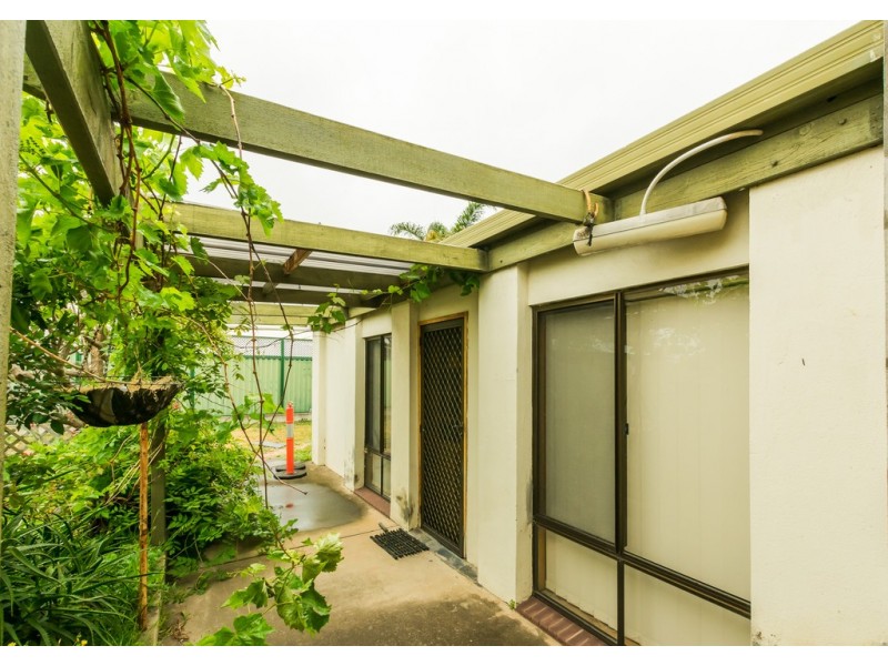 64 Whelan Avenue, Camden Park SA 5038