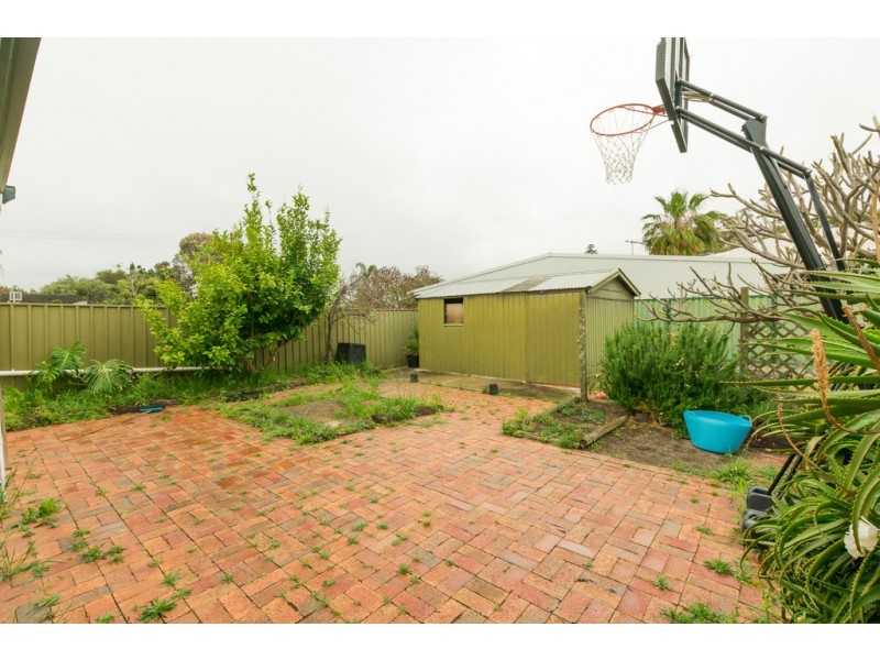 64 Whelan Avenue, Camden Park SA 5038