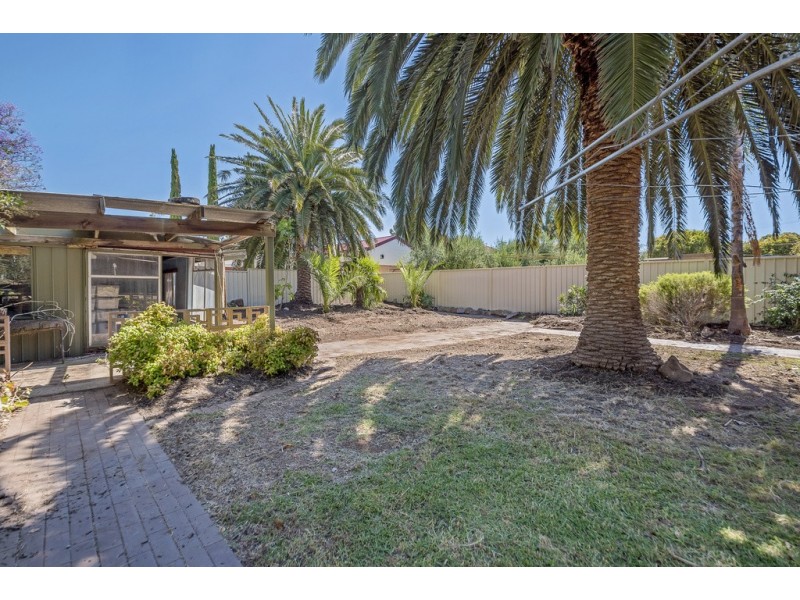 218 Daws Road, Daw Park SA 5041