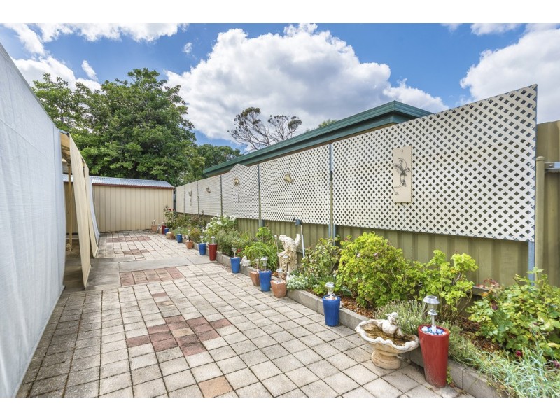 8 Mingbool Avenue, St Marys SA 5042