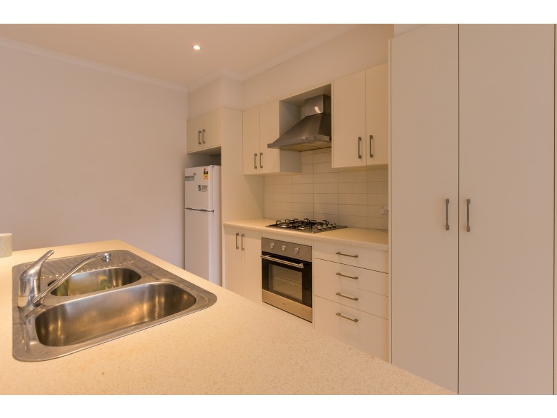 31 Myrtle Grove, Clovelly Park SA 5042