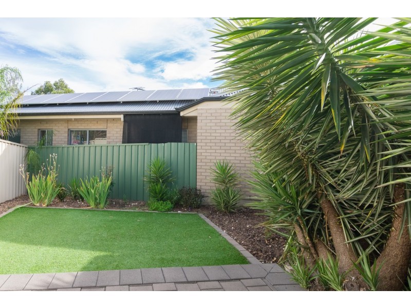 31 Myrtle Grove, Clovelly Park SA 5042