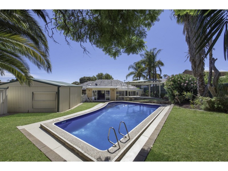 14 Cash Grove, Pasadena SA 5042