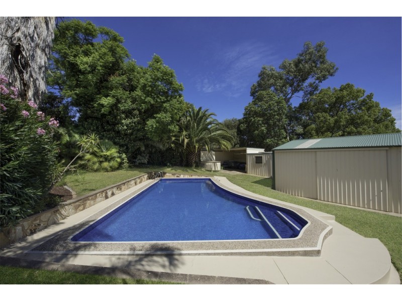 14 Cash Grove, Pasadena SA 5042