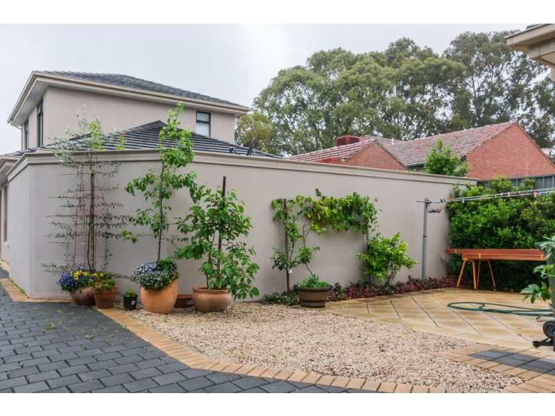 28A Joslin Street, Wayville SA 5034