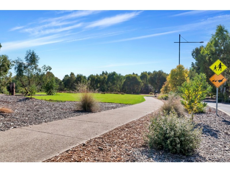 6 Hobbs Drive, Campbelltown SA 5074