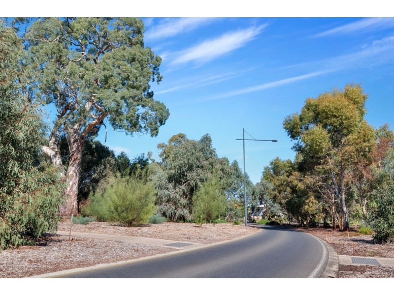 6 Hobbs Drive, Campbelltown SA 5074