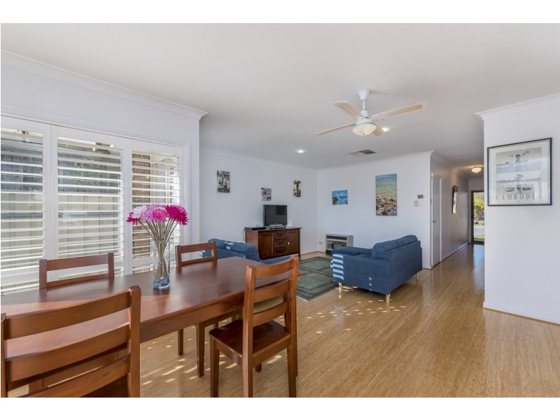 58A Condada Avenue, Park Holme SA 5043