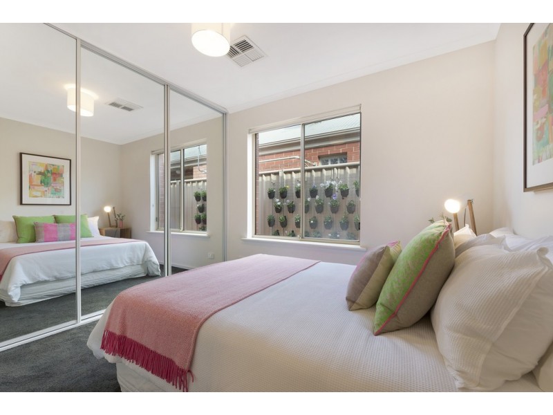 14 Napier Street, Renown Park SA 5008