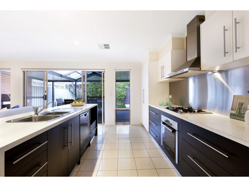 14 Napier Street, Renown Park SA 5008