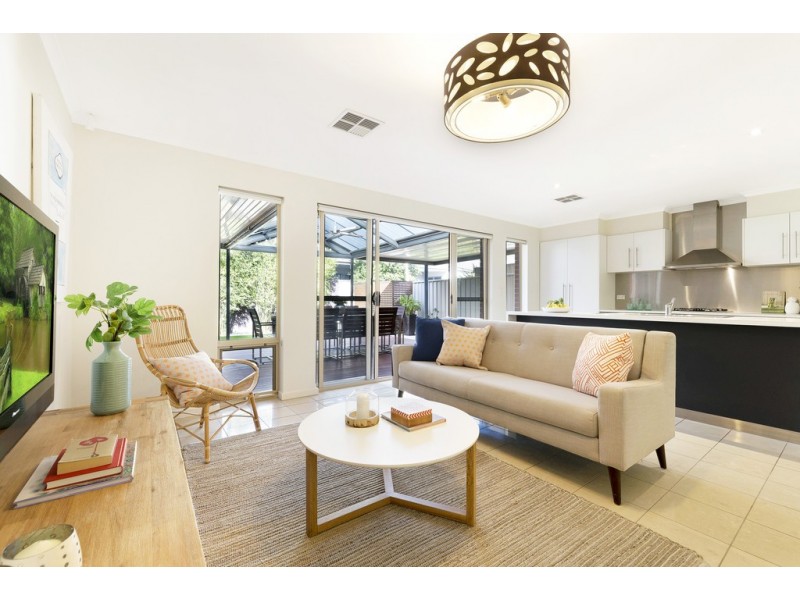 14 Napier Street, Renown Park SA 5008