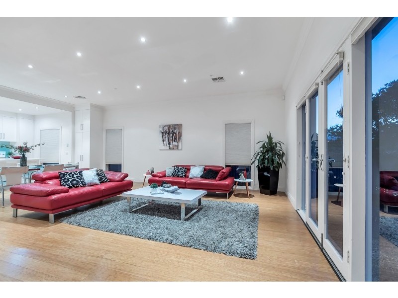 17 Albert Street, Clarence Gardens SA 5039