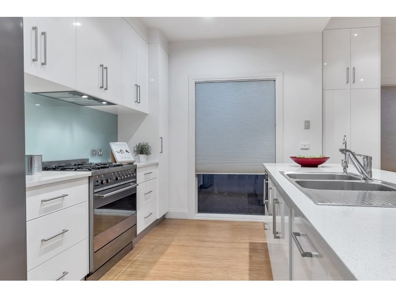 17 Albert Street, Clarence Gardens SA 5039