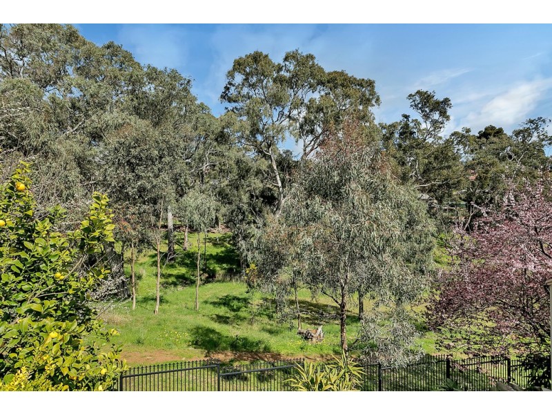 40 Sturt Approach, Flagstaff Hill SA 5159