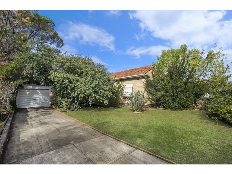 19 Eton Street, Colonel Light Gardens SA 5041