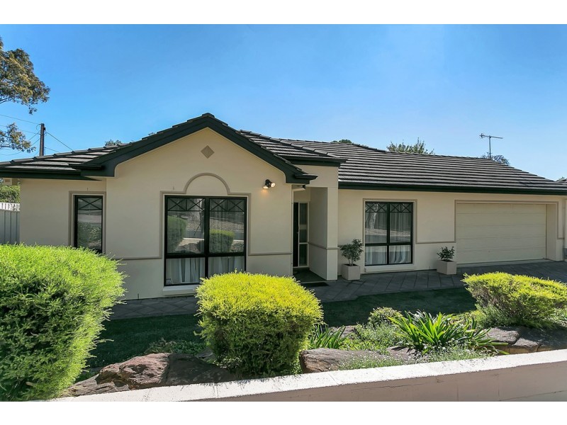 11 Alma Street, Panorama SA 5041