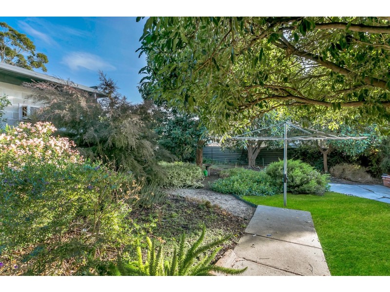 52 Magdalene Terrace, Pasadena SA 5042
