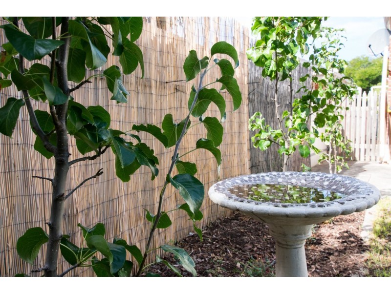 34 Dinwoodie Avenue, Clarence Gardens SA 5039