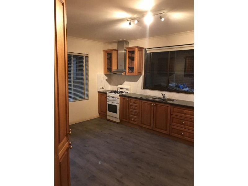 48 Kenilworth Road, Parkside SA 5063