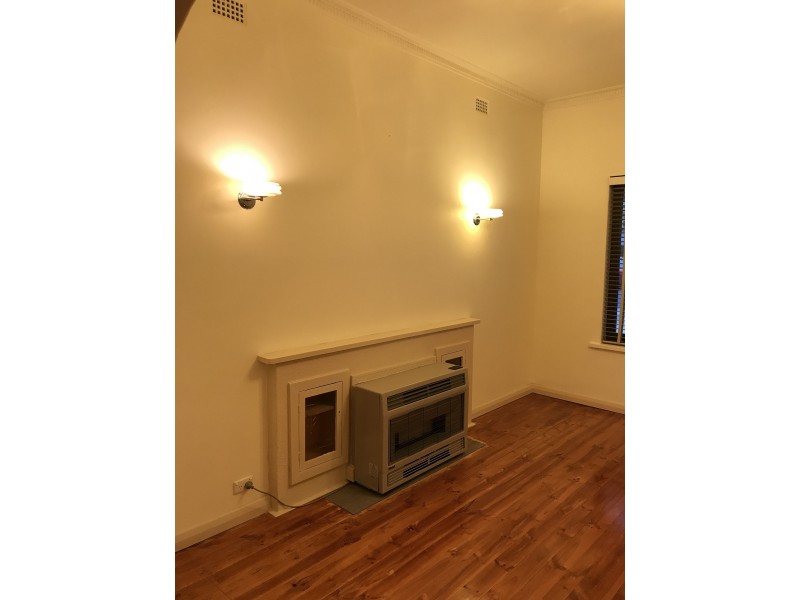 48 Kenilworth Road, Parkside SA 5063