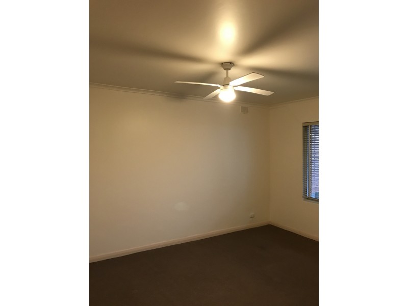 48 Kenilworth Road, Parkside SA 5063