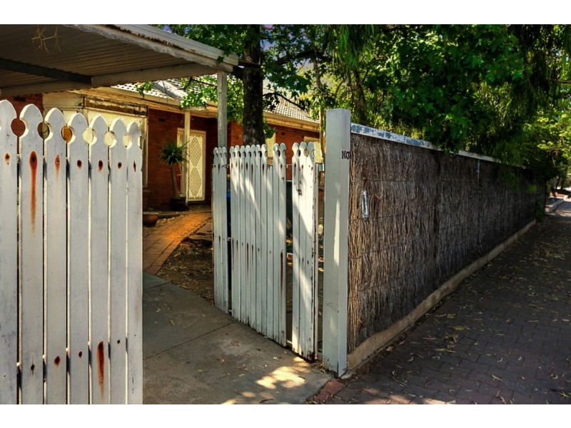 103 Duthy Street, Malvern SA 5061