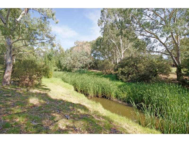 8 St Ives Walk, Paradise SA 5075