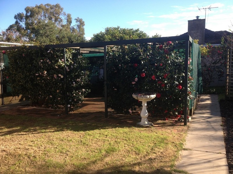 116 Edward Street, Clarence Gardens SA 5039