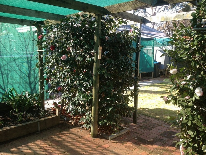 116 Edward Street, Clarence Gardens SA 5039