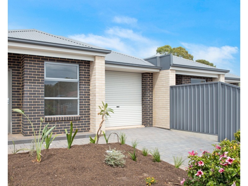 82 and 82A Celtic Avenue, Clovelly Park SA 5042