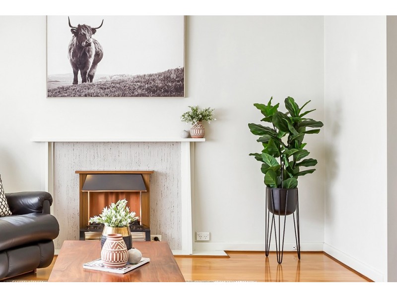 67 Crozier Avenue, Daw Park SA 5041