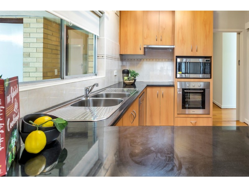 67 Crozier Avenue, Daw Park SA 5041