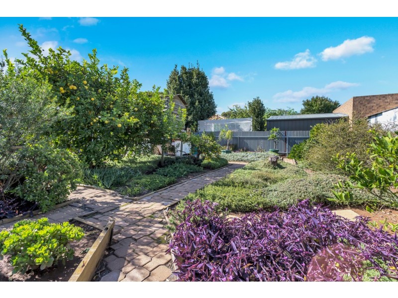 67 Crozier Avenue, Daw Park SA 5041