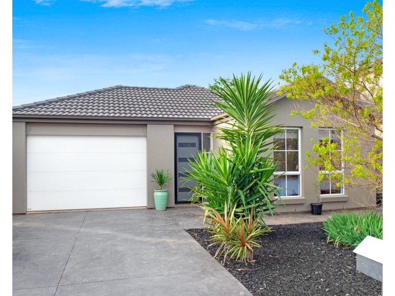 51 Dunorlan Road, Edwardstown SA 5039