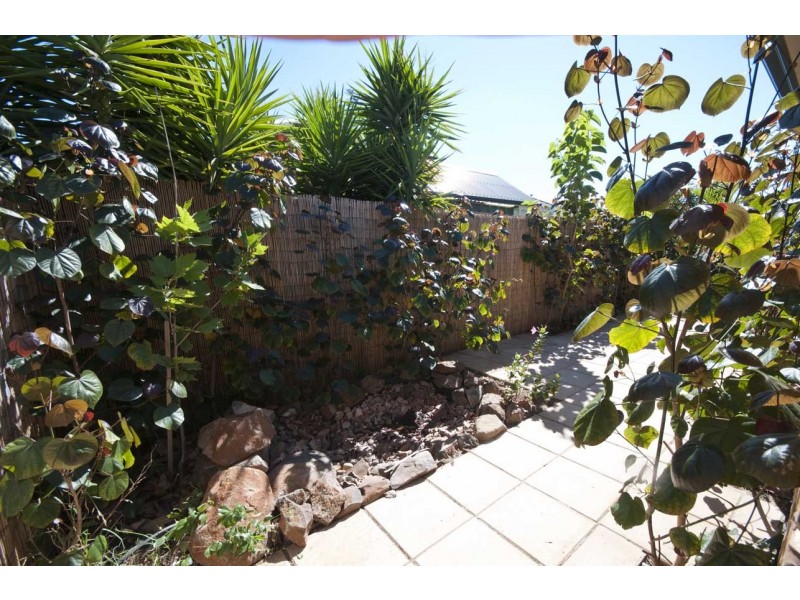 19 Heron Walk, Mawson Lakes SA 5095