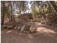 13 McAllan Avenue, Burnside SA 5066