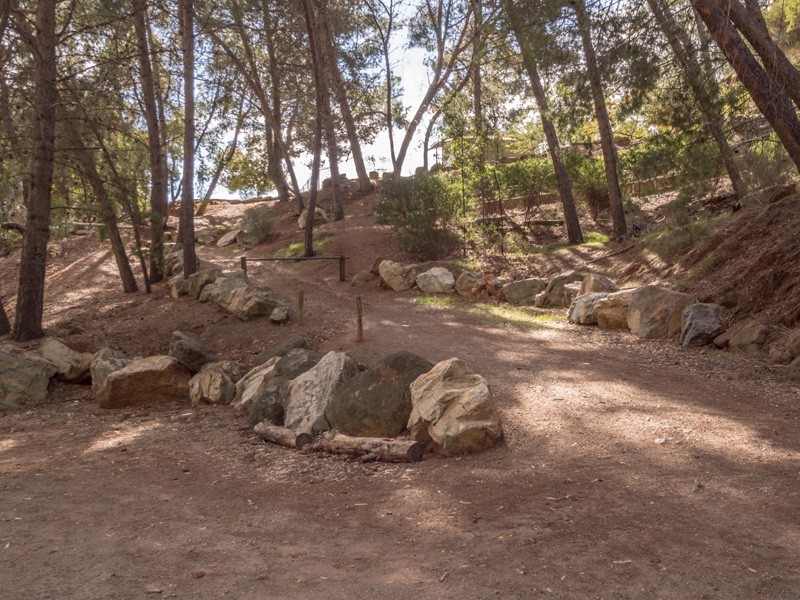 13 McAllan Avenue, Burnside SA 5066
