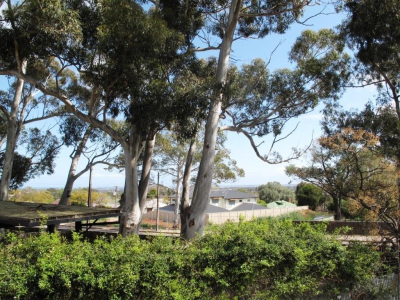 71 Price Avenue, Clapham SA 5062