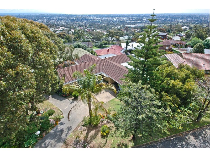 1 Hare Crescent, Panorama SA 5041