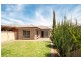 254a Diagonal Road, Oaklands Park SA 5046