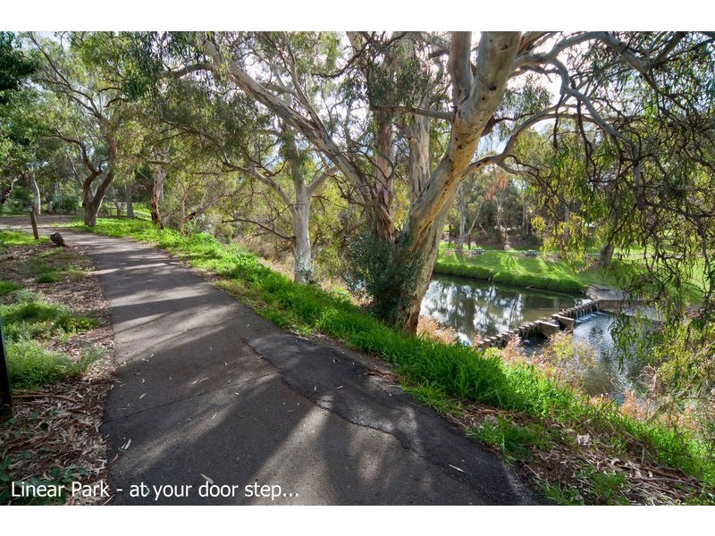 13 Riverview Drive, Paradise SA 5075