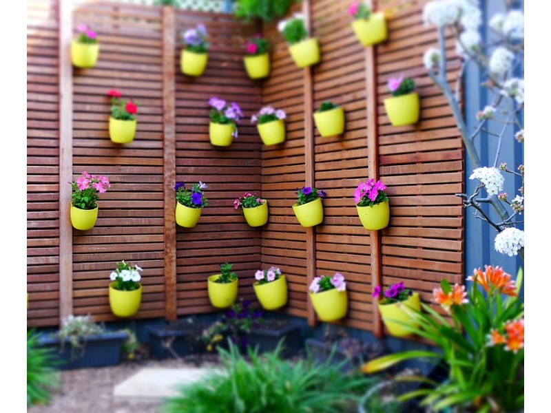 199 Cross Road, Cumberland Park SA 5041