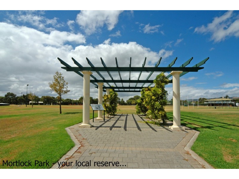 36 Crozier Aveue, Daw Park SA 5041