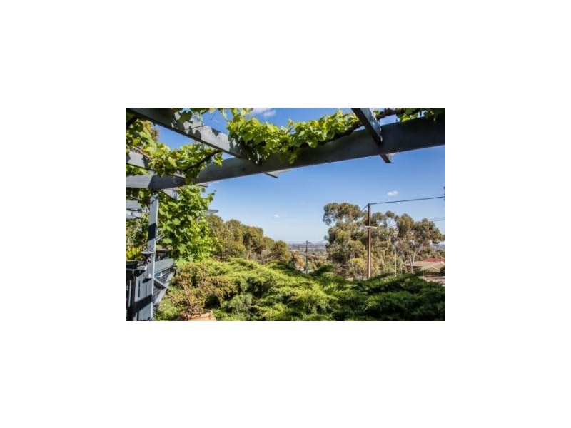 2 Pasadena Crescent, Pasadena SA 5042