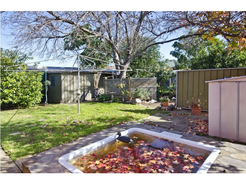 43 Osborn Terrace, Plympton SA 5038