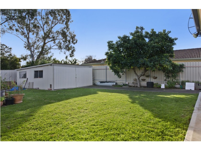 95 Mcinerney Avenue, Mitchell Park SA 5043